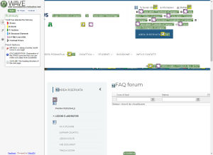 validazione Wave pagina FAQ forum